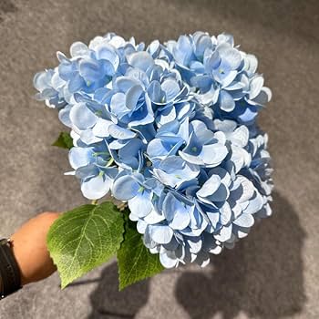 アートワーク作品　紫陽花 プレバト 色鉛筆部門ありがとうございました！ 紫陽花でした